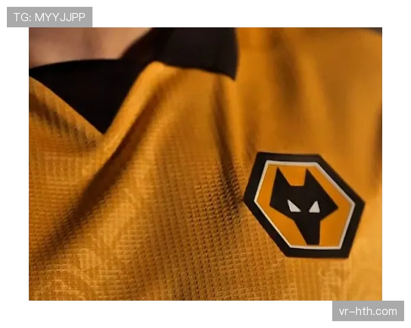 狼队提前5轮确认降级至英冠，成为本赛季五大联赛首支降级队伍